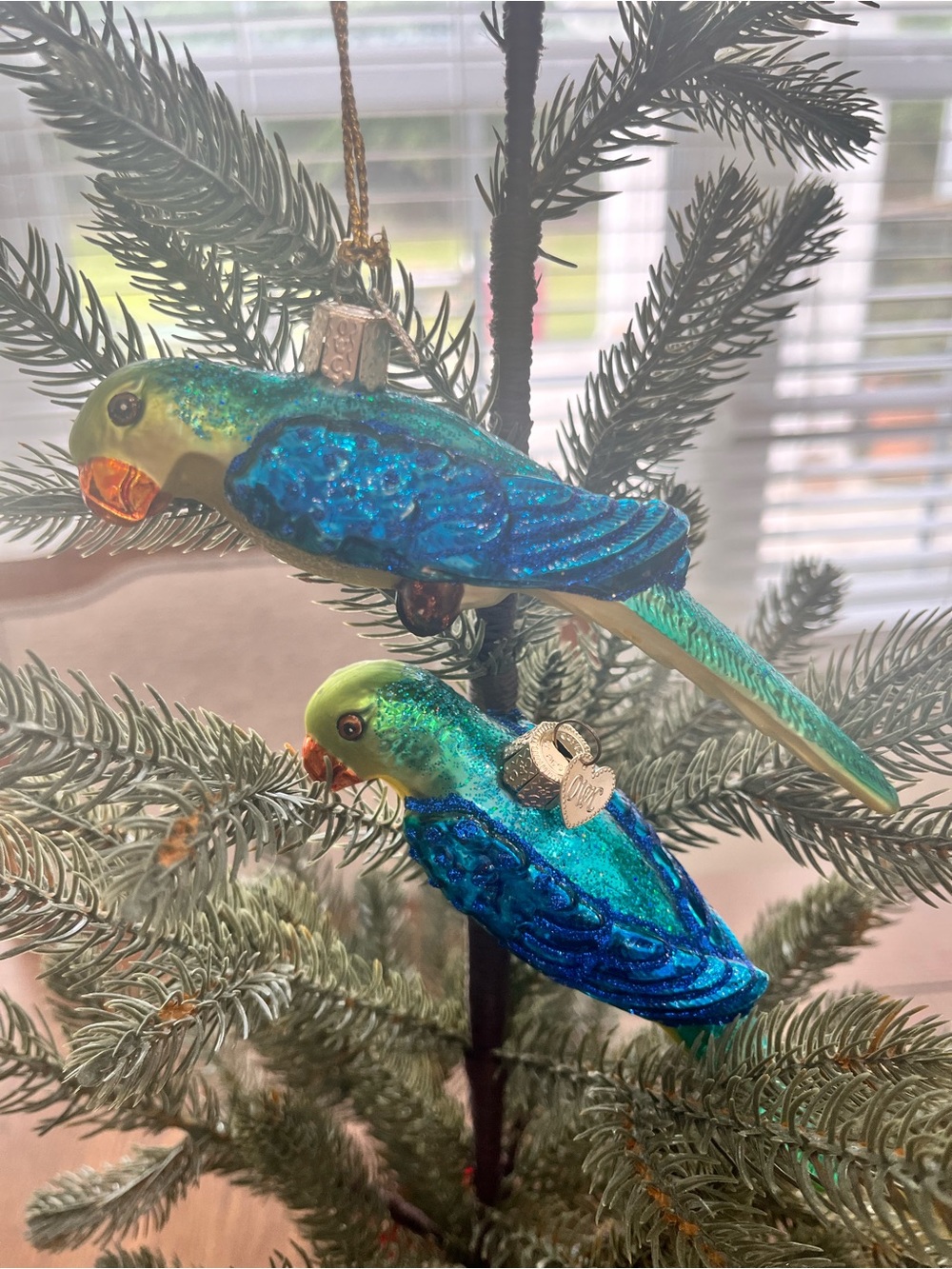 Old World Christmas Parakeet Blown Glass Hand Painted Ornament Christmas Decor